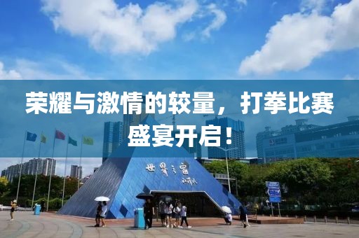 荣耀与激情的较量，打拳比赛盛宴开启！