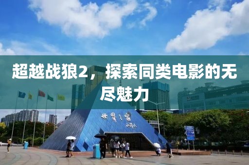 超越战狼2，探索同类电影的无尽魅力