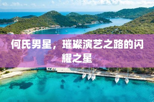 何氏男星，璀璨演艺之路的闪耀之星