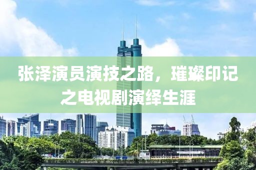 张泽演员演技之路，璀璨印记之电视剧演绎生涯