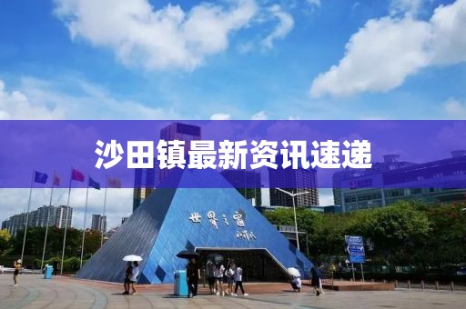 沙田镇最新资讯速递