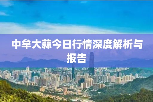 中牟大蒜今日行情深度解析与报告