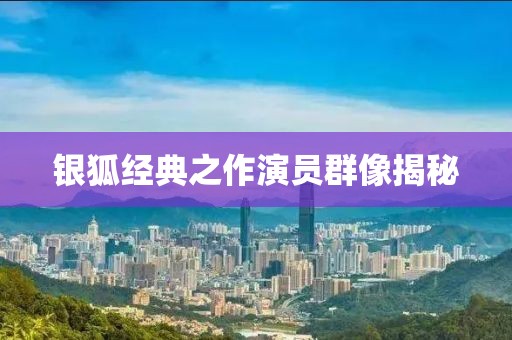 银狐经典之作演员群像揭秘