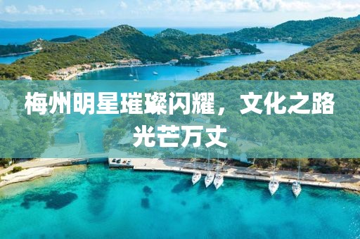 梅州明星璀璨闪耀，文化之路光芒万丈
