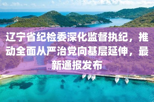 辽宁省纪检委深化监督执纪，推动全面从严治党向基层延伸，最新通报发布