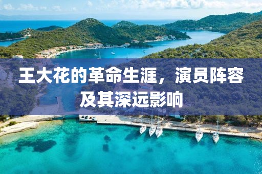 王大花的革命生涯，演员阵容及其深远影响