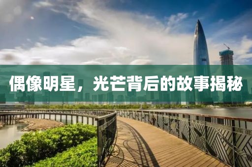 偶像明星，光芒背后的故事揭秘
