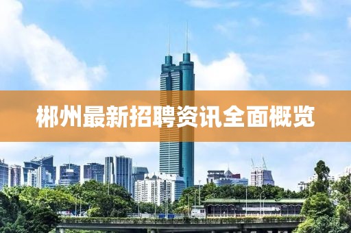 郴州最新招聘资讯全面概览