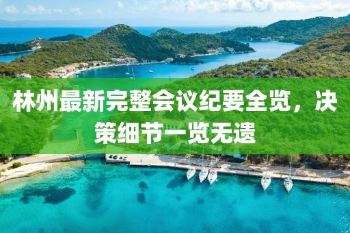 林州最新完整会议纪要全览，决策细节一览无遗