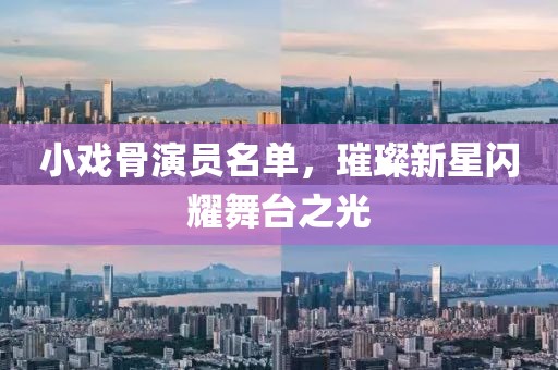 小戏骨演员名单，璀璨新星闪耀舞台之光