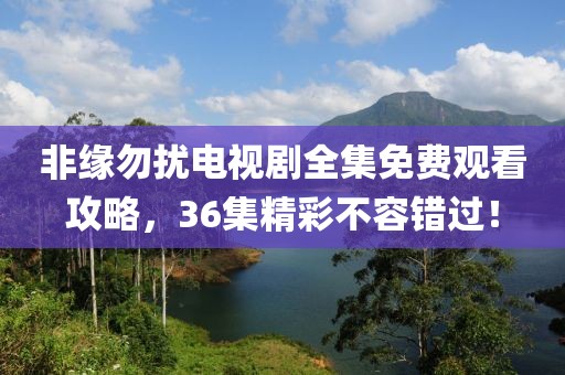 非缘勿扰电视剧全集免费观看攻略，36集精彩不容错过！
