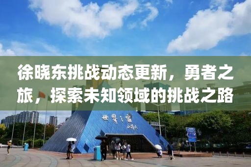 徐晓东挑战动态更新，勇者之旅，探索未知领域的挑战之路