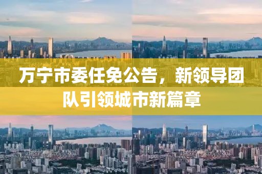 万宁市委任免公告，新领导团队引领城市新篇章