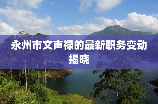 永州市文声禄的最新职务变动揭晓
