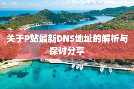关于P站最新DNS地址的解析与探讨分享