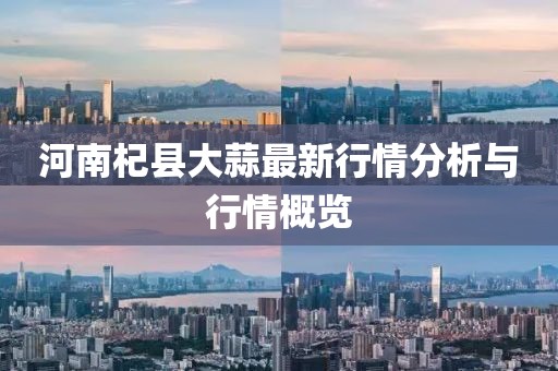 河南杞县大蒜最新行情分析与行情概览