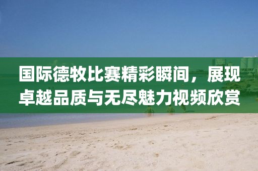 国际德牧比赛精彩瞬间，展现卓越品质与无尽魅力视频欣赏