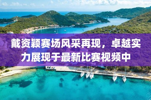 戴资颖赛场风采再现，卓越实力展现于最新比赛视频中