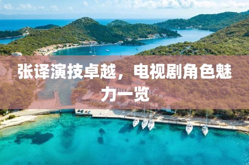 张译演技卓越，电视剧角色魅力一览