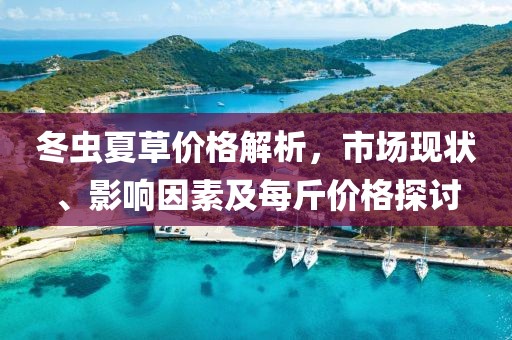 冬虫夏草价格解析，市场现状、影响因素及每斤价格探讨