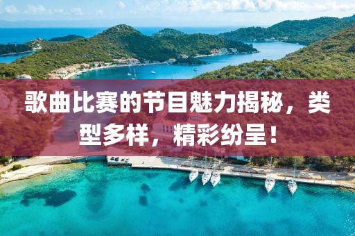 歌曲比赛的节目魅力揭秘，类型多样，精彩纷呈！