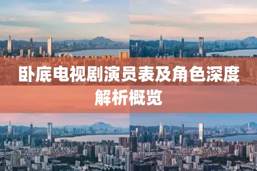 卧底电视剧演员表及角色深度解析概览