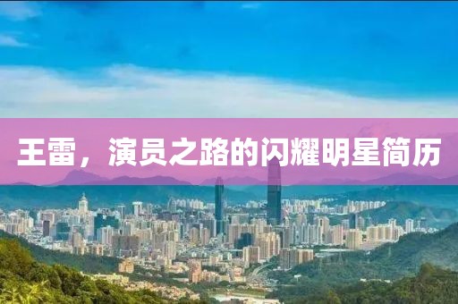 王雷，演员之路的闪耀明星简历