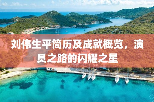 刘伟生平简历及成就概览，演员之路的闪耀之星