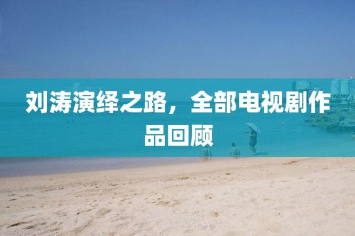 刘涛演绎之路，全部电视剧作品回顾