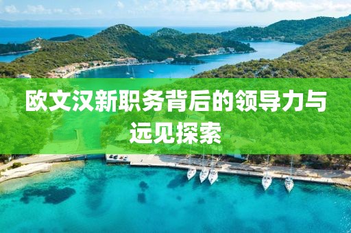 欧文汉新职务背后的领导力与远见探索