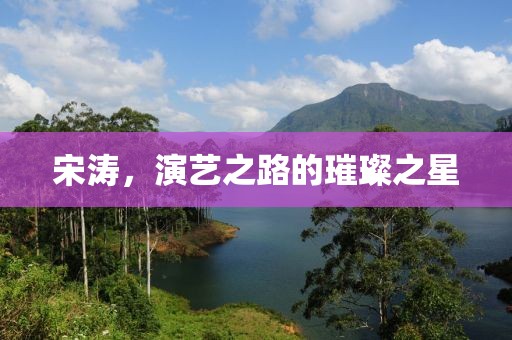 宋涛，演艺之路的璀璨之星