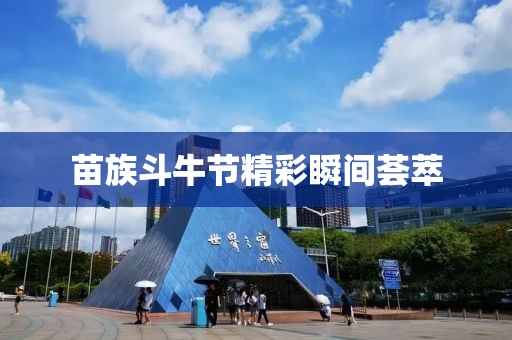 苗族斗牛节精彩瞬间荟萃