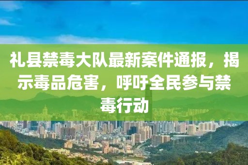礼县禁毒大队最新案件通报，揭示毒品危害，呼吁全民参与禁毒行动