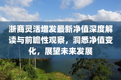 浙商灵活增发最新净值深度解读与前瞻性观察，洞悉净值变化，展望未来发展