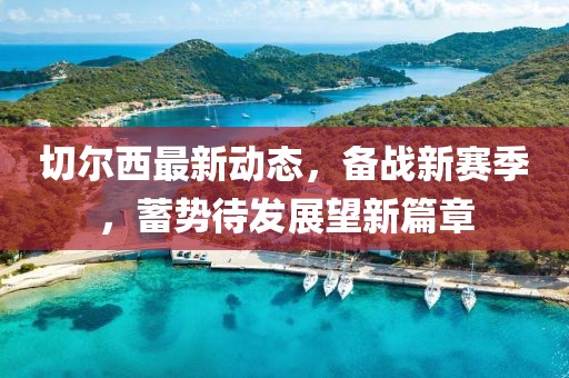 切尔西最新动态，备战新赛季，蓄势待发展望新篇章