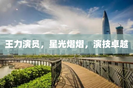 王力演员，星光熠熠，演技卓越
