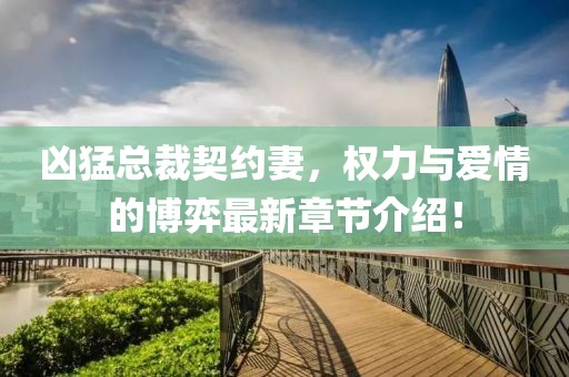 凶猛总裁契约妻，权力与爱情的博弈最新章节介绍！