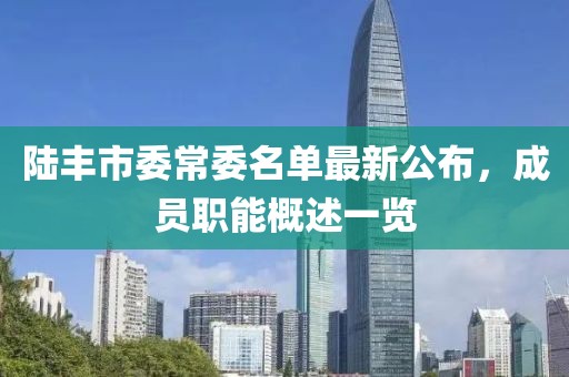 陆丰市委常委名单最新公布，成员职能概述一览