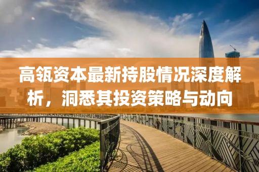 高瓴资本最新持股情况深度解析，洞悉其投资策略与动向