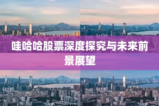 哇哈哈股票深度探究与未来前景展望