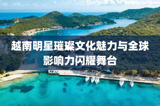 越南明星璀璨文化魅力与全球影响力闪耀舞台