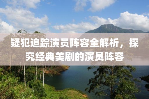 疑犯追踪演员阵容全解析，探究经典美剧的演员阵容