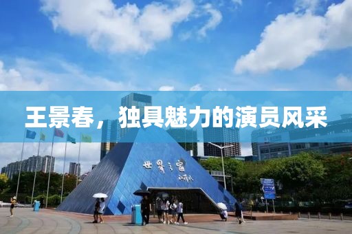 王景春，独具魅力的演员风采