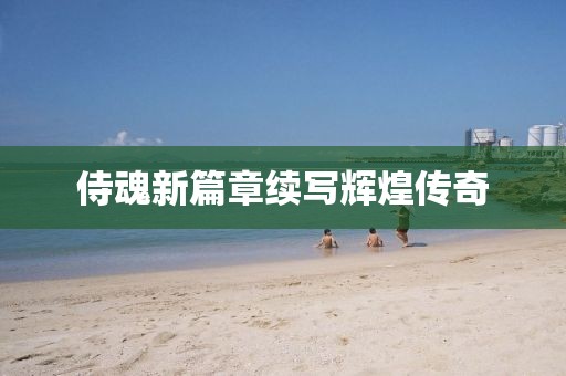 侍魂新篇章续写辉煌传奇