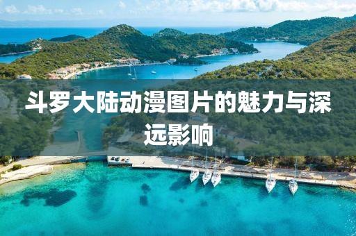 斗罗大陆动漫图片的魅力与深远影响