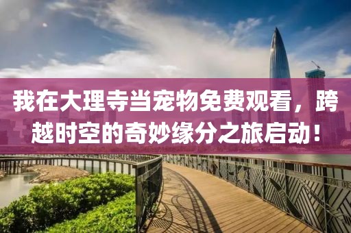 我在大理寺当宠物免费观看，跨越时空的奇妙缘分之旅启动！