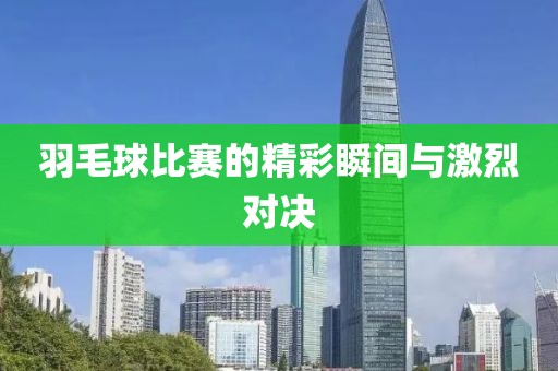 羽毛球比赛的精彩瞬间与激烈对决