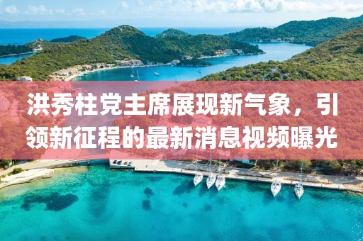 洪秀柱党主席展现新气象，引领新征程的最新消息视频曝光