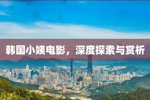韩国小姨电影，深度探索与赏析