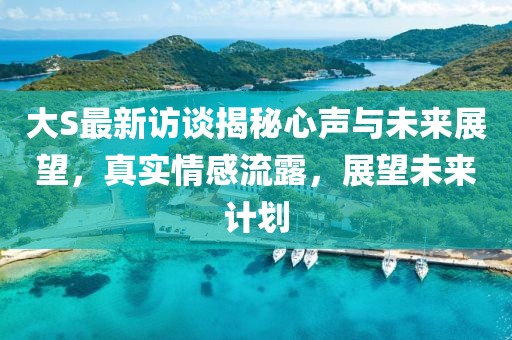 大S最新访谈揭秘心声与未来展望，真实情感流露，展望未来计划